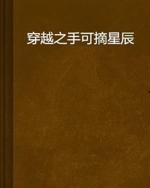 手可摘星辰（越南语版）,越南译本中的诗意与哲理